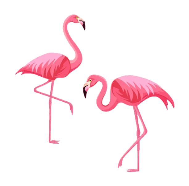 Flamingo Illustrasyon1 Duzenlendi